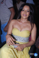 Actress Reema Sen Photo Gallery - 2