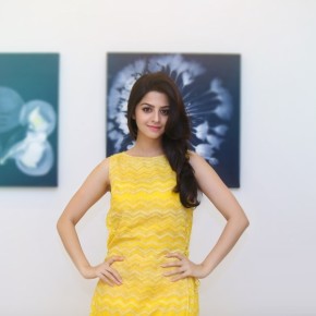 Actress Vedhika  Stills (11)