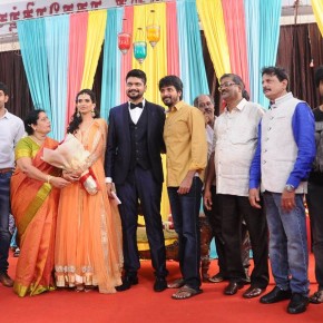 Arun and Swathi Wedding Reception  (5)