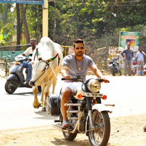Kadugu-Movie-Stills-3