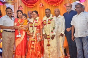 Producer M Ramanathan Daughter Wedding Photos