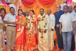 Producer M Ramanathan Daughter Wedding Photos